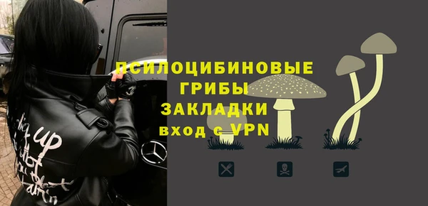 2c-b Пересвет